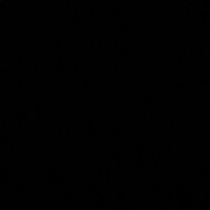 Meet your Posher, Miriam